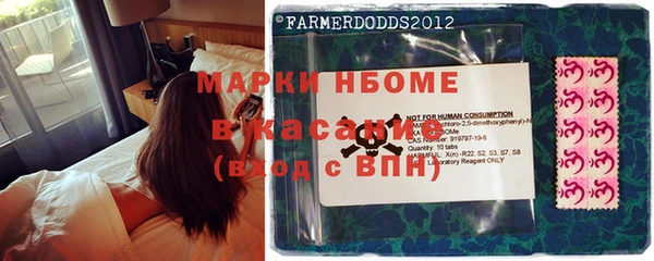 винт Алзамай