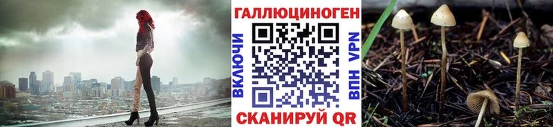 это Telegram  Мещовск  mega ссылки  Псилоцибиновые грибы GOLDEN TEACHER  магазин   