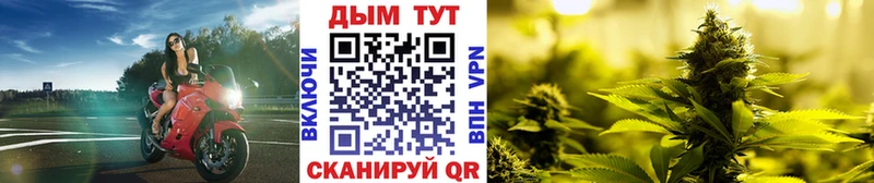 Конопля семена darknet официальный сайт Мещовск